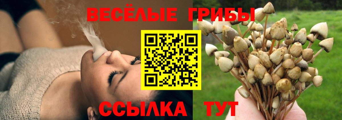Стрежевой  Галлюциногенные грибы Cubensis  Вход с VPN  Псилоцибиновые грибы Psilocybine cubensis 